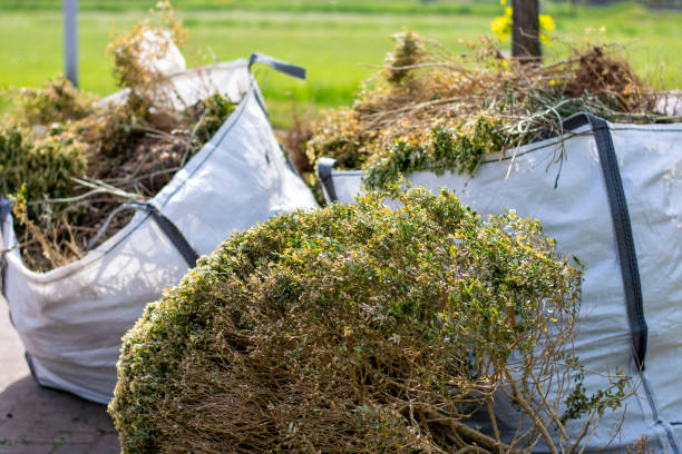 Best Household Junk Removal  in Jeannette, PA